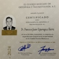 Ampliar imagen: certificate 2