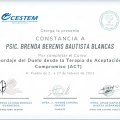 Ampliar imagen: certificate 4