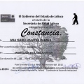 Ampliar imagen: certificate 10