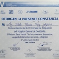 Ampliar imagen: certificate 19