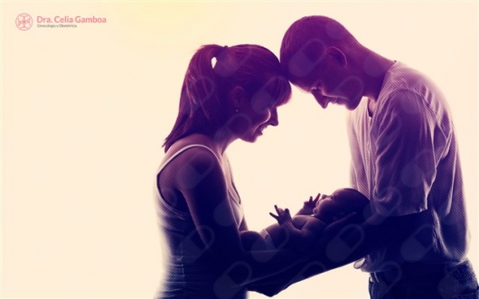 Celia Ivonne Gamboa Altúzar-5