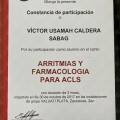 Ampliar imagen: certificate 11