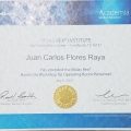 Ampliar imagen: certificate 12