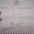 Ampliar imagen: certificate 5