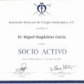 Ampliar imagen: certificate 5