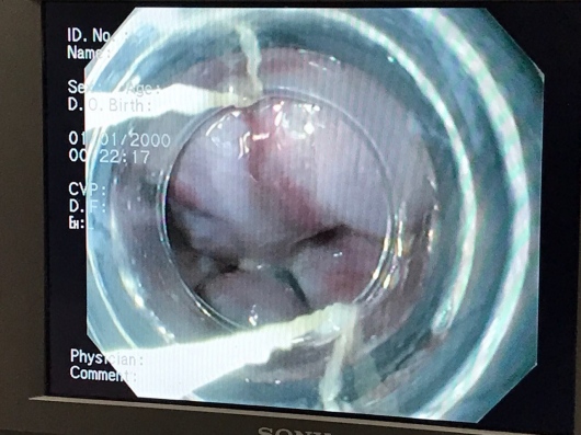 Jorge Herrera Hernández-7