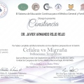 Ampliar imagen: certificate 26
