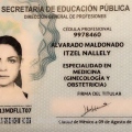 Ampliar imagen: certificate 4