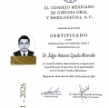 Ampliar imagen: certificate 5
