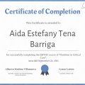 Ampliar imagen: certificate 3