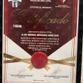 Ampliar imagen: certificate 2