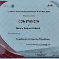 Ampliar imagen: certificate 1