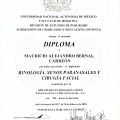 Ampliar imagen: certificate 22