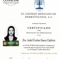 Ampliar imagen: certificate 2