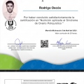 Ampliar imagen: certificate 3