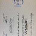Ampliar imagen: certificate 3