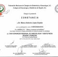 Ampliar imagen: certificate 27