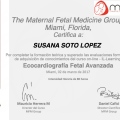 Ampliar imagen: certificate 3
