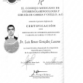 Ampliar imagen: certificate 1