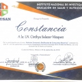 Ampliar imagen: certificate 7