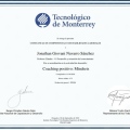 Ampliar imagen: certificate 10
