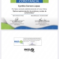 Ampliar imagen: certificate 11