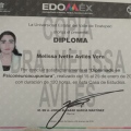 Ampliar imagen: certificate 8