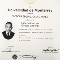 Ampliar imagen: certificate 2
