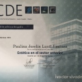 Ampliar imagen: certificate 2