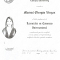 Ampliar imagen: certificate 4