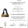 Ampliar imagen: certificate 2