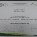 Ampliar imagen: certificate 11