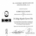 Ampliar imagen: certificate 2