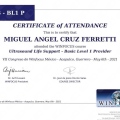 Ampliar imagen: certificate 3