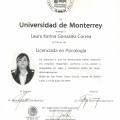 Ampliar imagen: certificate 5