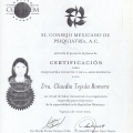 Ampliar imagen: certificate 2