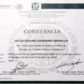 Ampliar imagen: certificate 5