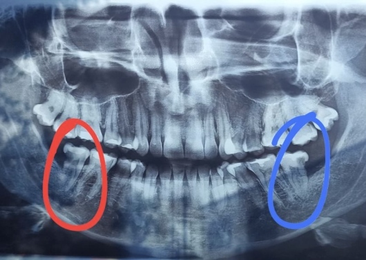Nicolas Alcantar Velázquez-0