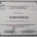 Ampliar imagen: certificate 9