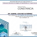 Ampliar imagen: certificate 6