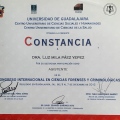Ampliar imagen: certificate 29