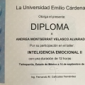 Ampliar imagen: certificate 12