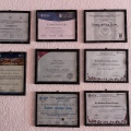 Ampliar imagen: certificate 5