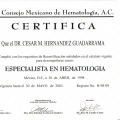 Ampliar imagen: certificate 7