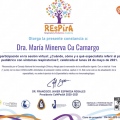 Ampliar imagen: certificate 10