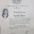 Ampliar imagen: certificate 2