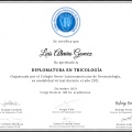 Ampliar imagen: certificate 2