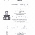 Ampliar imagen: certificate 2