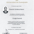 Ampliar imagen: certificate 2