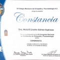 Ampliar imagen: certificate 13